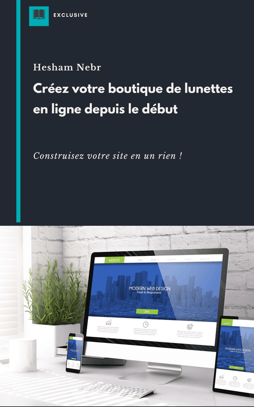 Ebook on Innovative Business Development Approaches -french