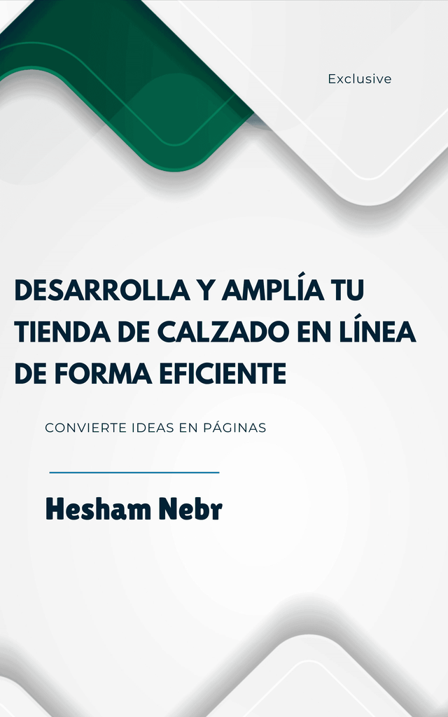 Building an Online Store: From Concept to Launch - spanish