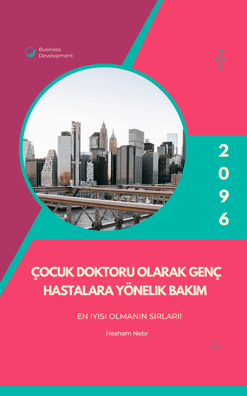 Career coaching and mentorship: Guidance for professionals - Turkish