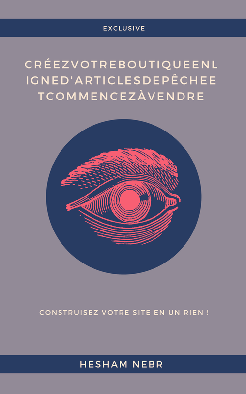 SEO Techniques for E-Commerce Websites -french