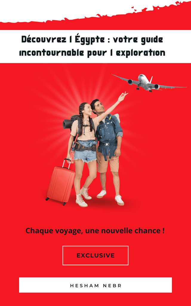 Airport navigation tips: Finding your way with ease -french