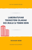 Infographic on effective job growth strategies - Turkish