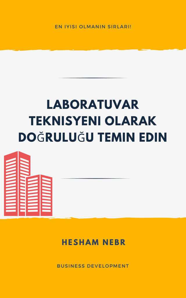 Infographic on effective job growth strategies - Turkish