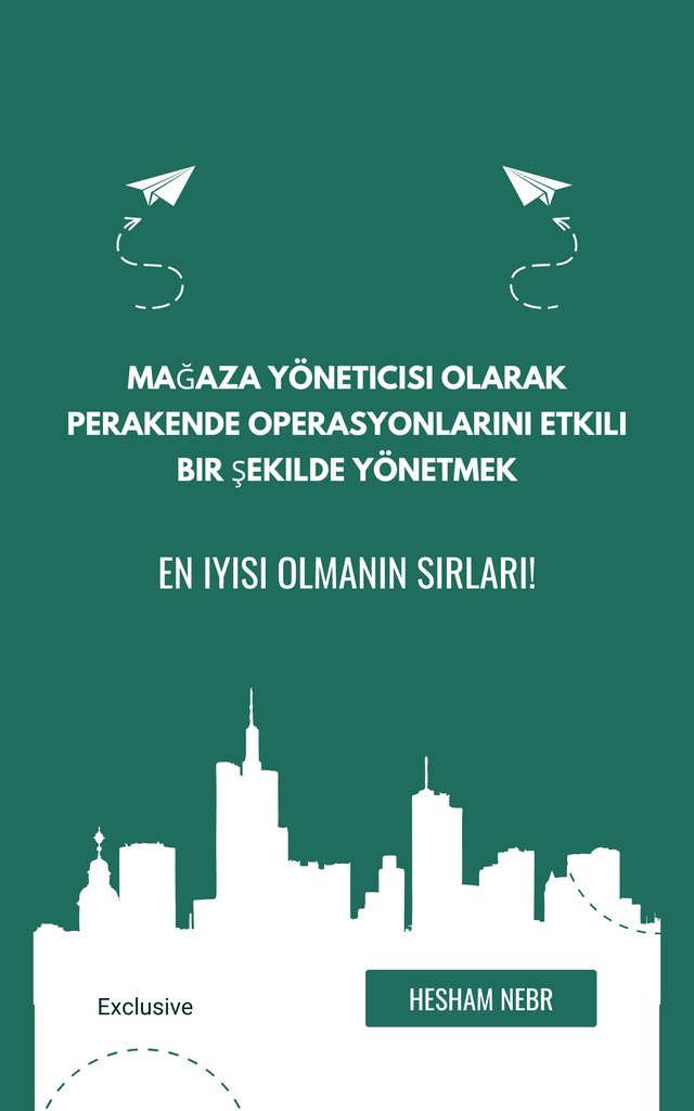 Navigating career transition strategies in a digital world - Turkish