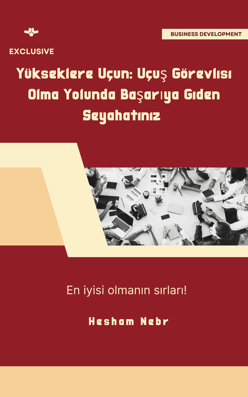 Business development tips: Frameworks for organizational growth - Turkish