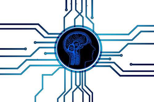 SEO optimized websites