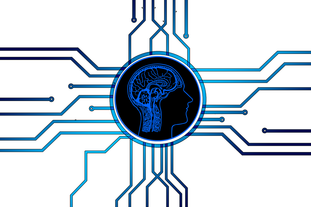 SEO optimized websites