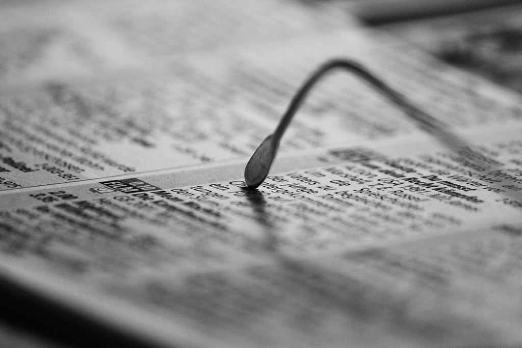 document translation